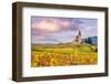 Vineyards, Hunawihr, Alsace, France-Matteo Colombo-Framed Photographic Print