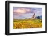 Vineyards, Hunawihr, Alsace, France-Matteo Colombo-Framed Photographic Print