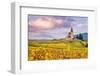 Vineyards, Hunawihr, Alsace, France-Matteo Colombo-Framed Photographic Print