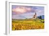 Vineyards, Hunawihr, Alsace, France-Matteo Colombo-Framed Photographic Print