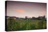 Vineyards in autumn at dusk, Kaiserstuhl, Burkheim, Baden-Wurttemberg, Germany-null-Stretched Canvas