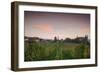 Vineyards in autumn at dusk, Kaiserstuhl, Burkheim, Baden-Wurttemberg, Germany-null-Framed Photographic Print