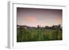 Vineyards in autumn at dusk, Kaiserstuhl, Burkheim, Baden-Wurttemberg, Germany-null-Framed Photographic Print