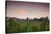 Vineyards in autumn at dusk, Kaiserstuhl, Burkheim, Baden-Wurttemberg, Germany-null-Stretched Canvas