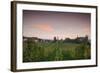 Vineyards in autumn at dusk, Kaiserstuhl, Burkheim, Baden-Wurttemberg, Germany-null-Framed Photographic Print