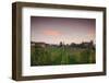 Vineyards in autumn at dusk, Kaiserstuhl, Burkheim, Baden-Wurttemberg, Germany-null-Framed Photographic Print