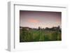 Vineyards in autumn at dusk, Kaiserstuhl, Burkheim, Baden-Wurttemberg, Germany-null-Framed Photographic Print