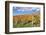 Vineyards in Autumn, Esslingen, Baden Wurttemberg, Germany, Europe-Markus-Framed Photographic Print