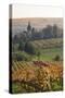 Vineyards in Autumn, German Wine Route, Pfalz, Rhineland-Palatinate, Germany, Europe-Marcus Lange-Stretched Canvas