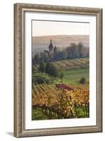 Vineyards in Autumn, German Wine Route, Pfalz, Rhineland-Palatinate, Germany, Europe-Marcus Lange-Framed Photographic Print