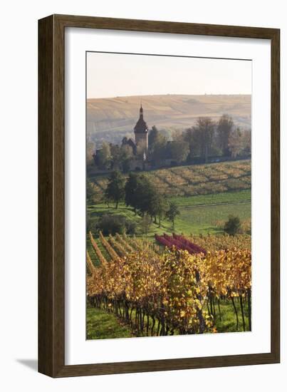 Vineyards in Autumn, German Wine Route, Pfalz, Rhineland-Palatinate, Germany, Europe-Marcus Lange-Framed Photographic Print