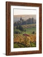 Vineyards in Autumn, German Wine Route, Pfalz, Rhineland-Palatinate, Germany, Europe-Marcus Lange-Framed Photographic Print