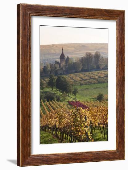 Vineyards in Autumn, German Wine Route, Pfalz, Rhineland-Palatinate, Germany, Europe-Marcus Lange-Framed Photographic Print