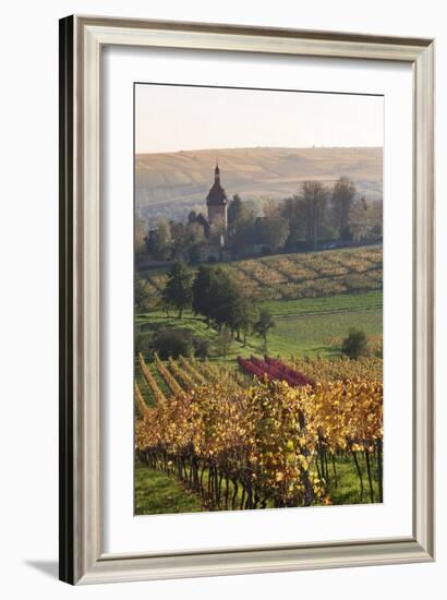 Vineyards in Autumn, German Wine Route, Pfalz, Rhineland-Palatinate, Germany, Europe-Marcus Lange-Framed Photographic Print