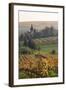 Vineyards in Autumn, German Wine Route, Pfalz, Rhineland-Palatinate, Germany, Europe-Marcus Lange-Framed Photographic Print