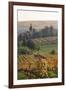 Vineyards in Autumn, German Wine Route, Pfalz, Rhineland-Palatinate, Germany, Europe-Marcus Lange-Framed Photographic Print