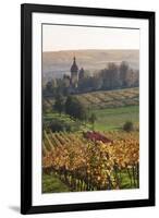 Vineyards in Autumn, German Wine Route, Pfalz, Rhineland-Palatinate, Germany, Europe-Marcus Lange-Framed Photographic Print