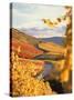 Vineyards in autumn in Esslingen/Neckar-Herbert Kehrer-Stretched Canvas