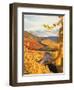 Vineyards in autumn in Esslingen/Neckar-Herbert Kehrer-Framed Photographic Print