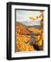 Vineyards in autumn in Esslingen/Neckar-Herbert Kehrer-Framed Photographic Print