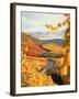 Vineyards in autumn in Esslingen/Neckar-Herbert Kehrer-Framed Photographic Print