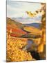 Vineyards in autumn in Esslingen/Neckar-Herbert Kehrer-Mounted Photographic Print