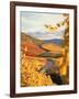 Vineyards in autumn in Esslingen/Neckar-Herbert Kehrer-Framed Photographic Print