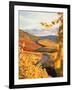 Vineyards in autumn in Esslingen/Neckar-Herbert Kehrer-Framed Photographic Print