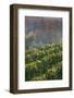 Vineyards in autumn, Kaiserstuhl, Burkheim, Baden-Wurttemberg, Germany-null-Framed Photographic Print