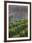 Vineyards in autumn, Kaiserstuhl, Burkheim, Baden-Wurttemberg, Germany-null-Framed Photographic Print