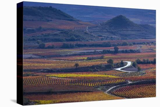 Vineyards in autumn, La Rioja, Sierra De Cantabria, Alava, Basque Country, Spain-Juan Carlos Munoz-Stretched Canvas