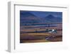 Vineyards in autumn, La Rioja, Sierra De Cantabria, Alava, Basque Country, Spain-Juan Carlos Munoz-Framed Photographic Print