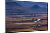 Vineyards in autumn, La Rioja, Sierra De Cantabria, Alava, Basque Country, Spain-Juan Carlos Munoz-Mounted Photographic Print