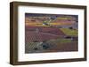 Vineyards in autumn, La Rioja, Sierra De Cantabria, Alava, Basque Country, Spain-Juan Carlos Munoz-Framed Photographic Print