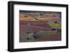 Vineyards in autumn, La Rioja, Sierra De Cantabria, Alava, Basque Country, Spain-Juan Carlos Munoz-Framed Photographic Print