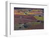 Vineyards in autumn, La Rioja, Sierra De Cantabria, Alava, Basque Country, Spain-Juan Carlos Munoz-Framed Photographic Print