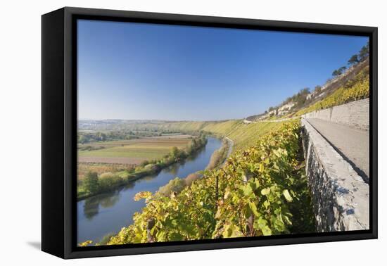 Vineyards in Autumn, Mundelsheim, Neckartal Valley-Marcus Lange-Framed Stretched Canvas