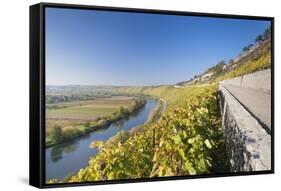 Vineyards in Autumn, Mundelsheim, Neckartal Valley-Marcus Lange-Framed Stretched Canvas