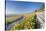 Vineyards in Autumn, Mundelsheim, Neckartal Valley-Marcus Lange-Stretched Canvas
