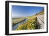 Vineyards in Autumn, Mundelsheim, Neckartal Valley-Marcus Lange-Framed Photographic Print