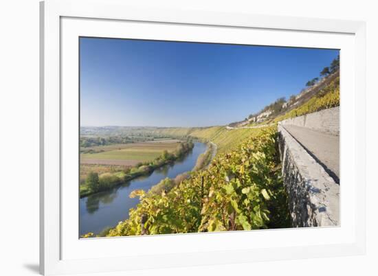 Vineyards in Autumn, Mundelsheim, Neckartal Valley-Marcus Lange-Framed Photographic Print