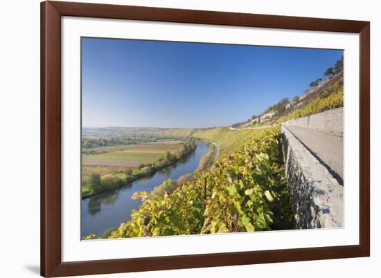Vineyards in Autumn, Mundelsheim, Neckartal Valley-Marcus Lange-Framed Photographic Print