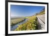 Vineyards in Autumn, Mundelsheim, Neckartal Valley-Marcus Lange-Framed Photographic Print