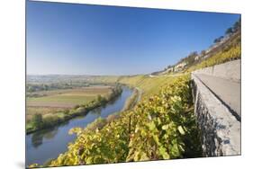 Vineyards in Autumn, Mundelsheim, Neckartal Valley-Marcus Lange-Mounted Photographic Print