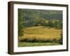 Vineyards in Autumn, Near Arbois, Jura, Franche Comte, France-Michael Busselle-Framed Photographic Print