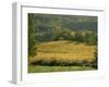 Vineyards in Autumn, Near Arbois, Jura, Franche Comte, France-Michael Busselle-Framed Photographic Print