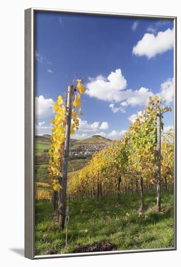 Vineyards in Autumn, Oberstenfeld, Ludwigsburg District, Baden Wurttemberg, Germany, Europe-Markus-Framed Photographic Print