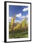 Vineyards in Autumn, Oberstenfeld, Ludwigsburg District, Baden Wurttemberg, Germany, Europe-Markus-Framed Photographic Print