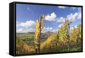 Vineyards in Autumn, Oberstenfeld, Ludwigsburg District, Baden Wurttemberg, Germany, Europe-Markus-Framed Stretched Canvas