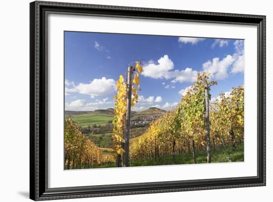 Vineyards in Autumn, Oberstenfeld, Ludwigsburg District, Baden Wurttemberg, Germany, Europe-Markus-Framed Photographic Print